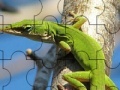 Игра Chameleon On The Tree: Puzzle