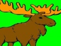 Игра Deer coloring game