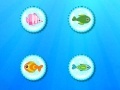 Игра Color Fish Quest