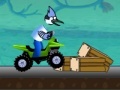 Игра Regular Show Amazing Race