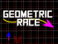 Игра Geometric Race 