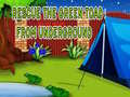 Игра Rescue The Green Toad From Underground