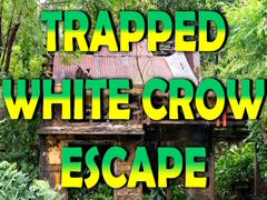 Игра Trapped White Crow Escape