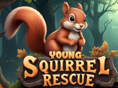 Ігра Young Squirrel Rescue