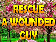 Игра Rescue A Wounded Guy