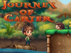 Игра Journey Of Carter