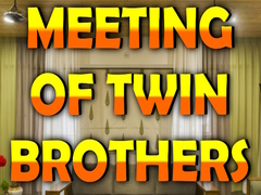 Игра Wow Meeting of Twin Brothers