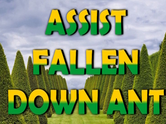 Игра  Assist Fallen Down Ant