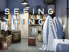 Игра Seeing Things