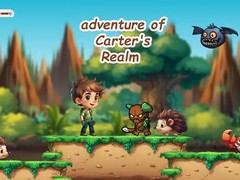 Игра Adventure of Carter's Realm