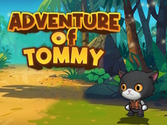 Игра Advanture Of Tommy