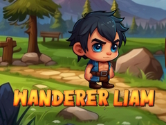 Игра Wanderer Liam