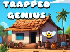 Игра Trapped Genius