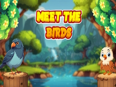 Игра Meet The Birds 