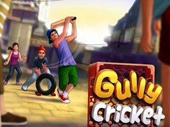 Игра Gully Cricket