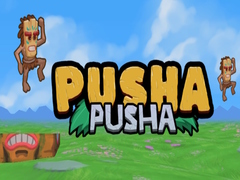 Игра Pusha Pusha