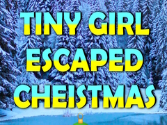 Игра Tiny Girl Escaped Christmas Island