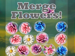 Игра Merge Flowers!