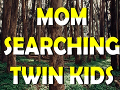 Игра Mom Searching Twin Kids