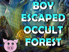 Игра Boy Escaped Occult Forest